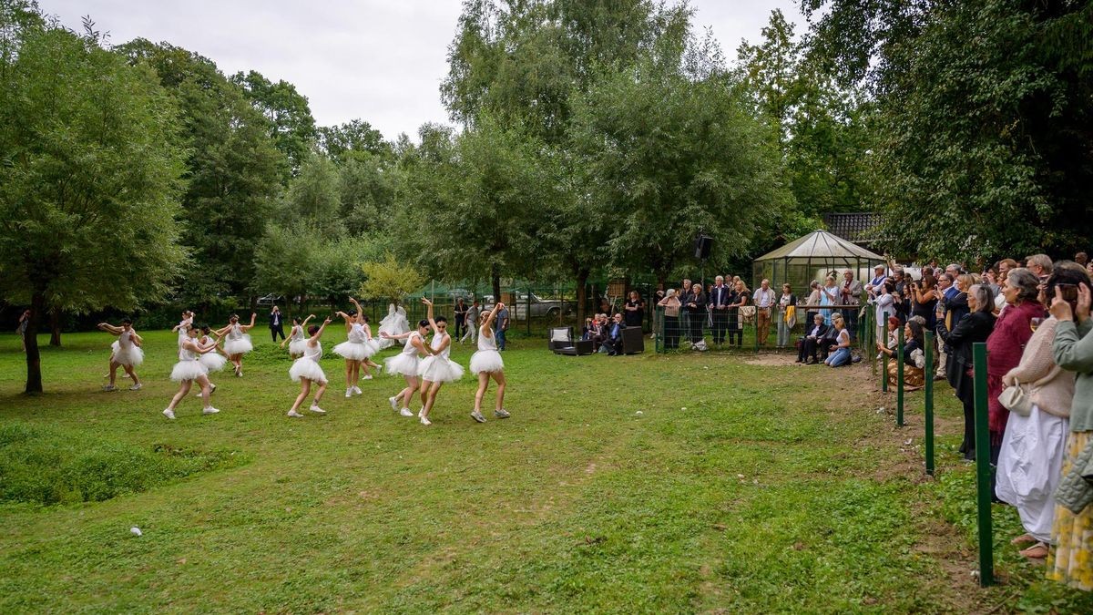 Hattingen: Schwanensee Open Air in der Vogelstation Paasmühle