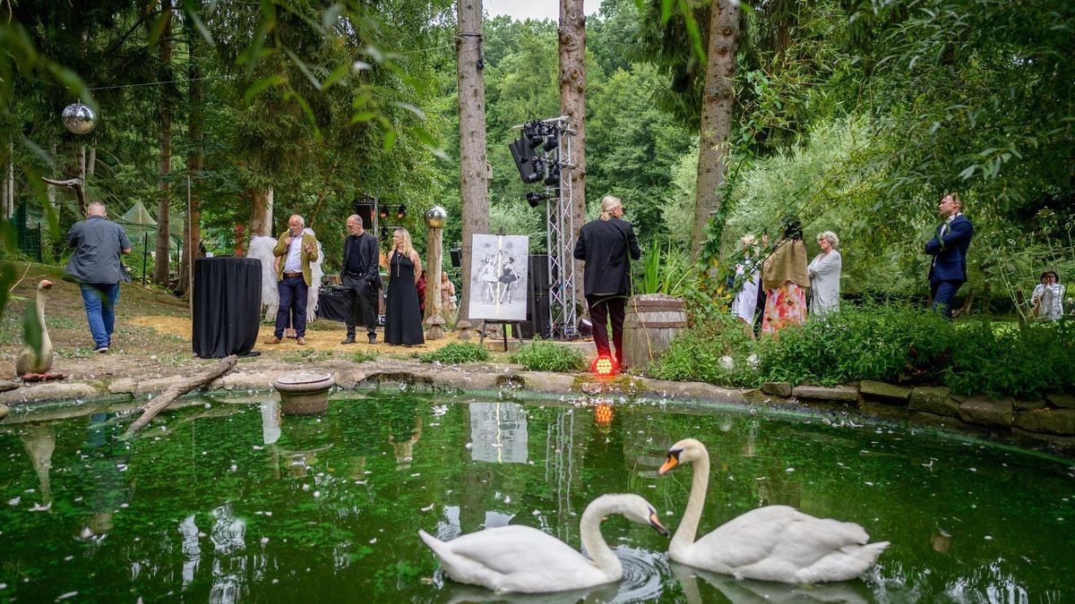 Hattingen: Schwanensee Open Air in der Vogelstation Paasmühle