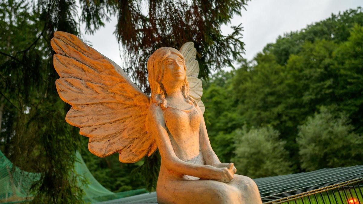 Hattingen: Schwanensee Open Air in der Vogelstation Paasmühle