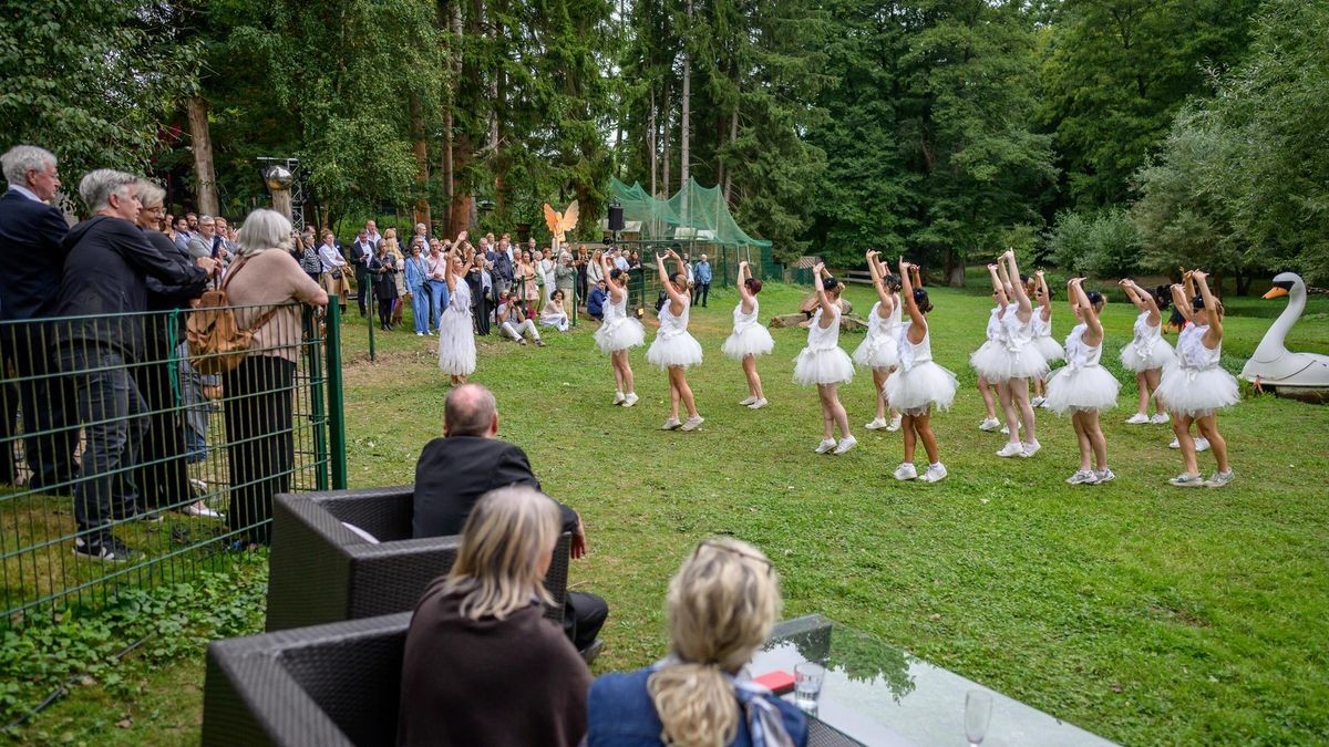 Hattingen: Schwanensee Open Air in der Vogelstation Paasmühle
