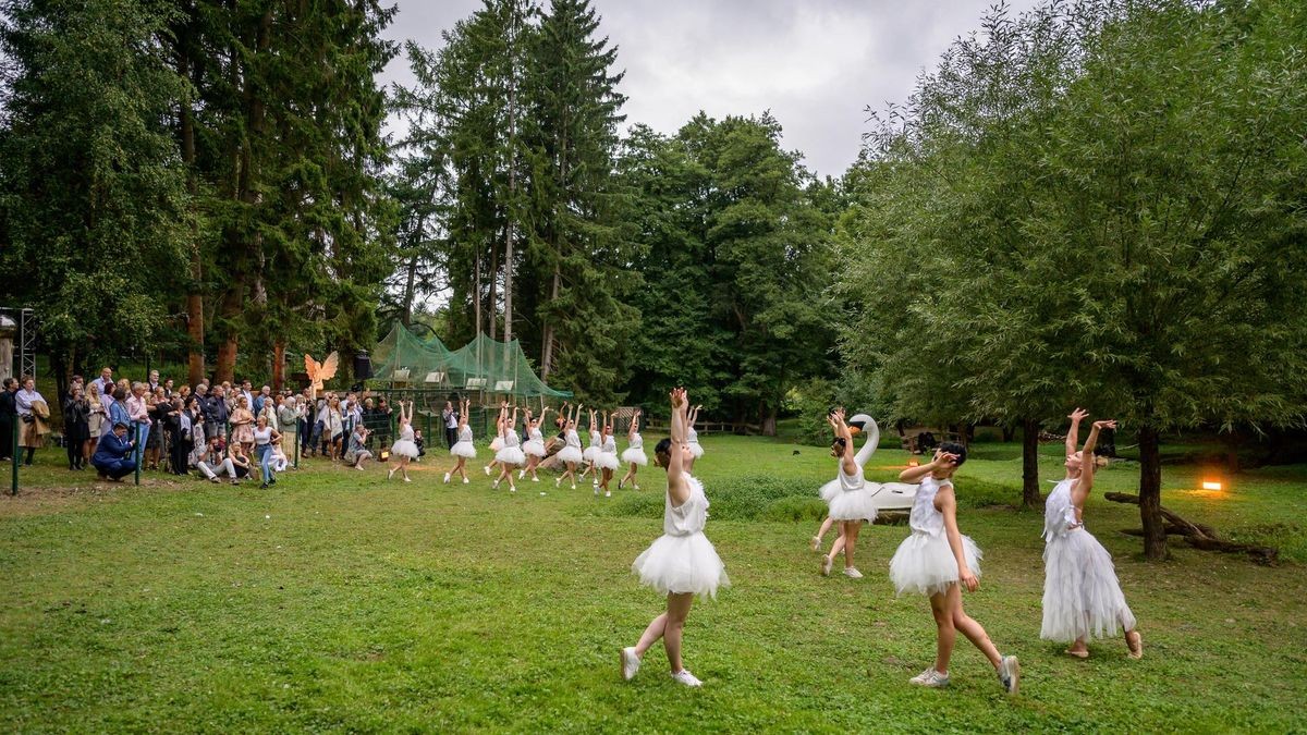 Hattingen: Schwanensee Open Air in der Vogelstation Paasmühle