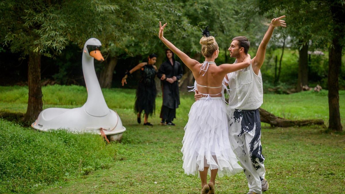 Hattingen: Schwanensee Open Air in der Vogelstation Paasmühle