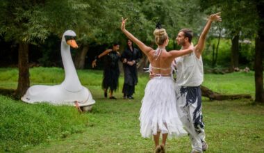 69 Fotos vom Spektakel am Schwanensee