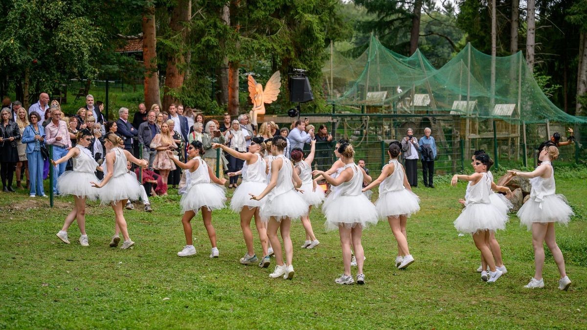 Hattingen: Schwanensee Open Air in der Vogelstation Paasmühle