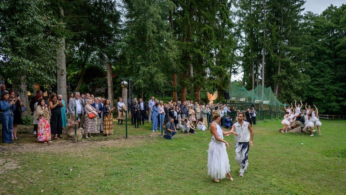 Hattingen: Schwanensee Open Air in der Vogelstation Paasmühle