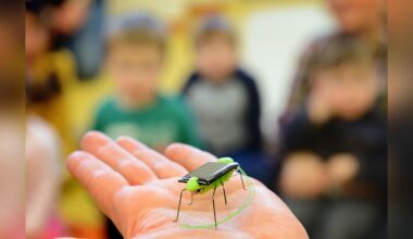 Erste Tagesstätte wird zur Klima-Kita