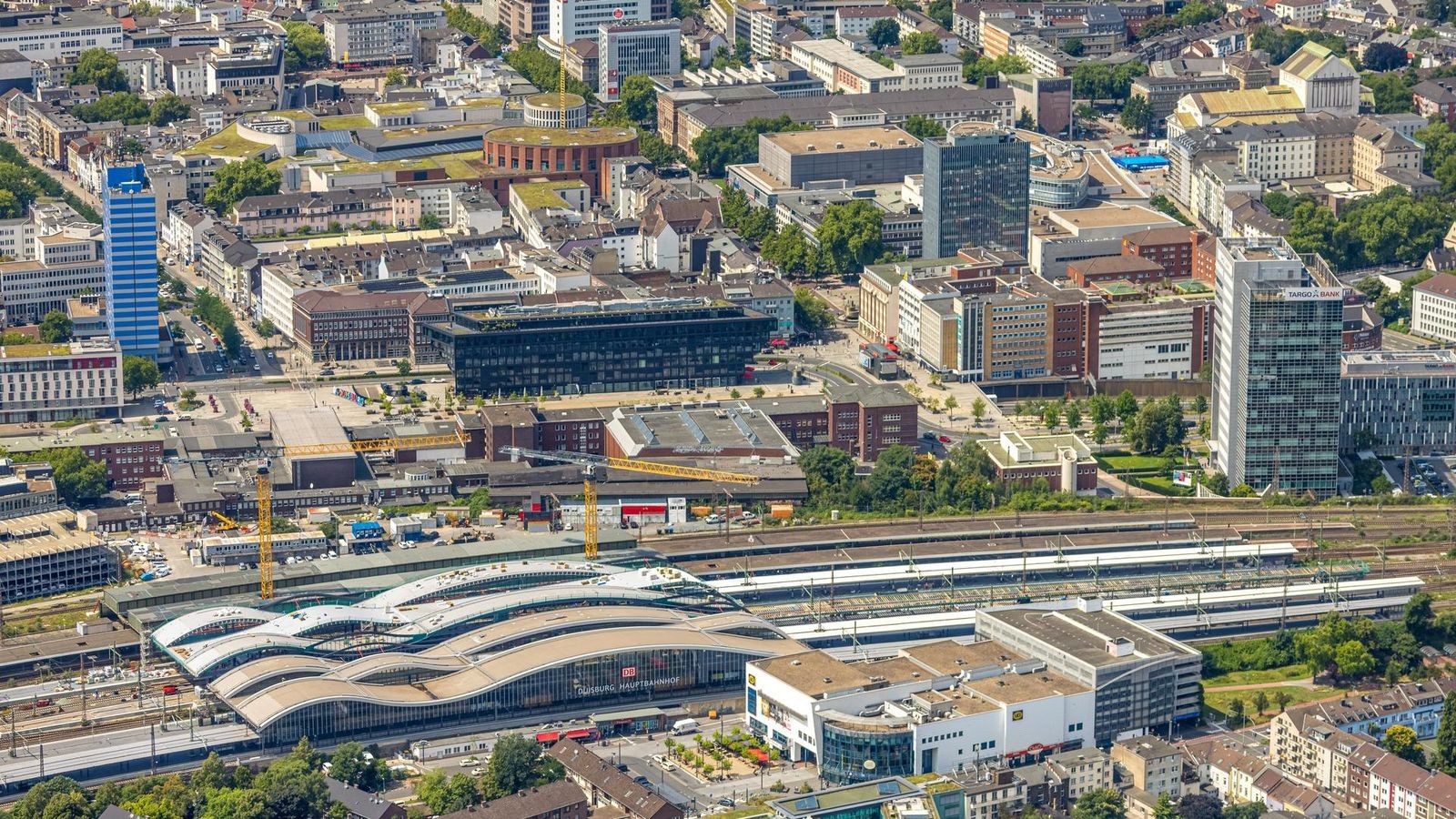 Fällstopp für Duisburg – die waldärmste NRW-Großstadt