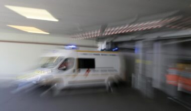 zwei Tote durch verseuchten Käse