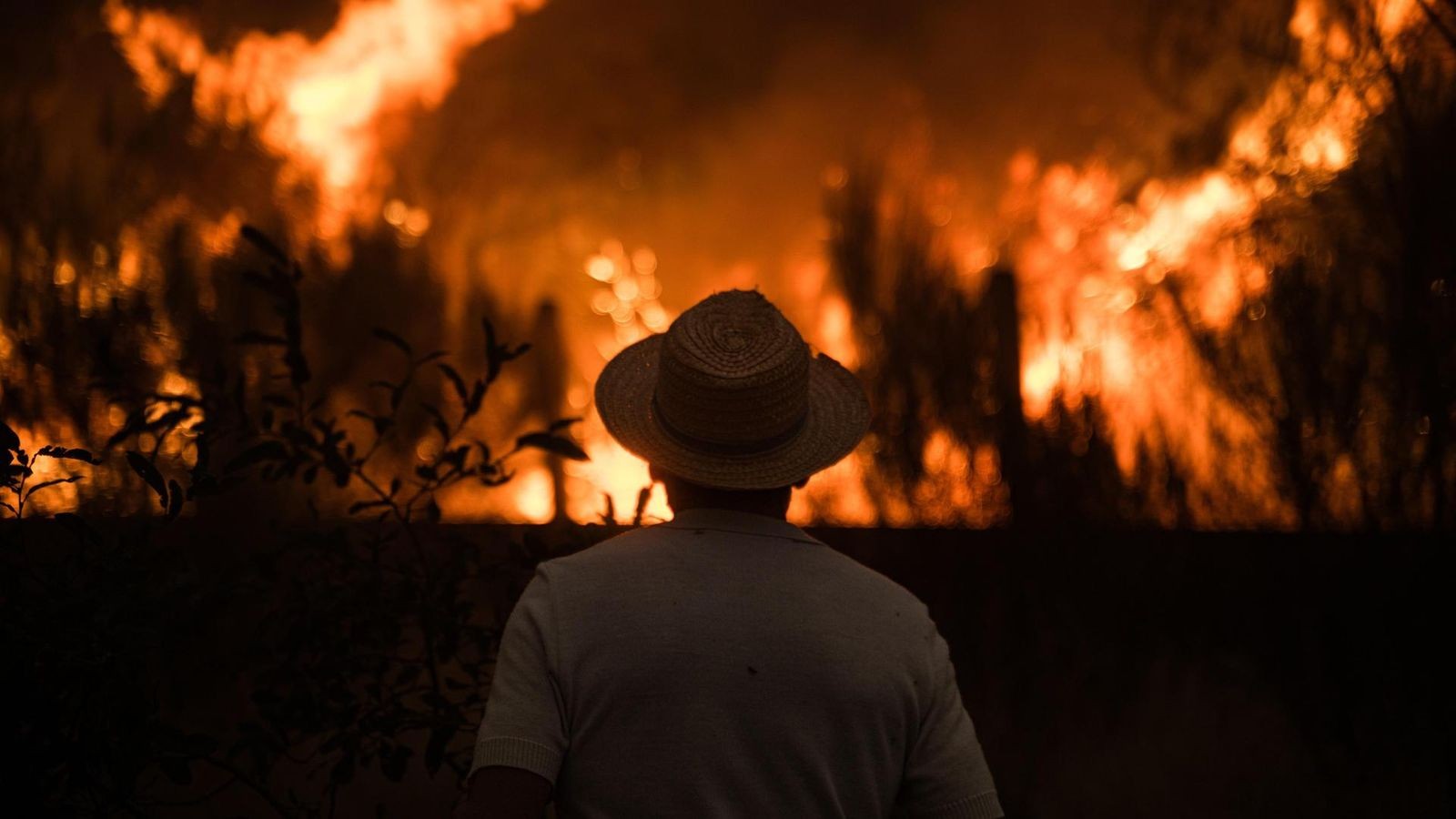 Deutschland schickt Hilfe – Feuer-Tsunami verheert ganze Landstriche
