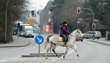 Tier und Reiterin bei Unfall in Herne verletzt