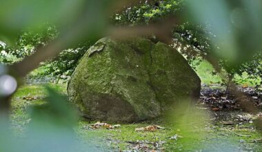 Bürger schlägt Alarm: Eiszeit-Findlinge wurden versetzt
