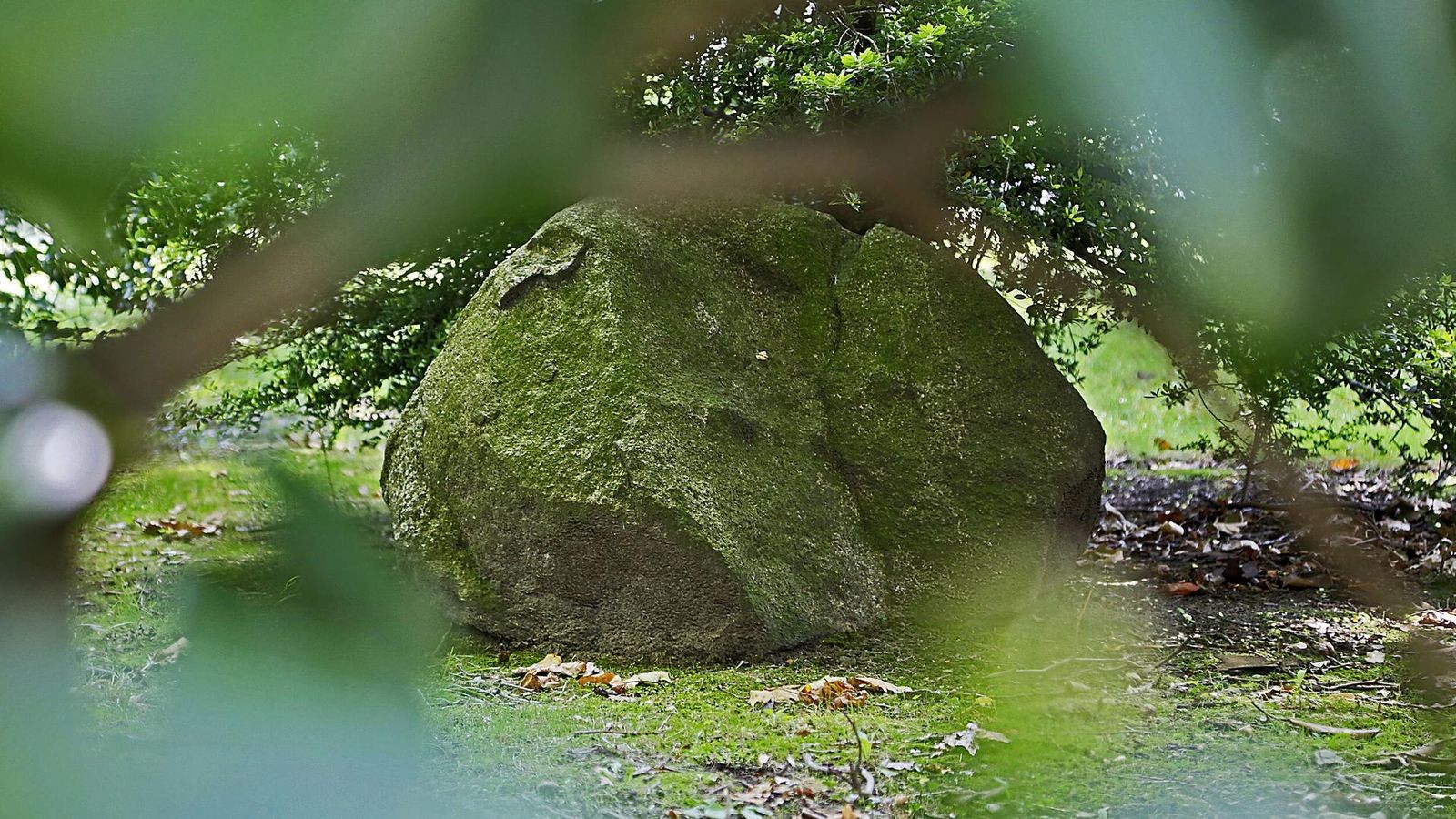 Bürger schlägt Alarm: Eiszeit-Findlinge wurden versetzt