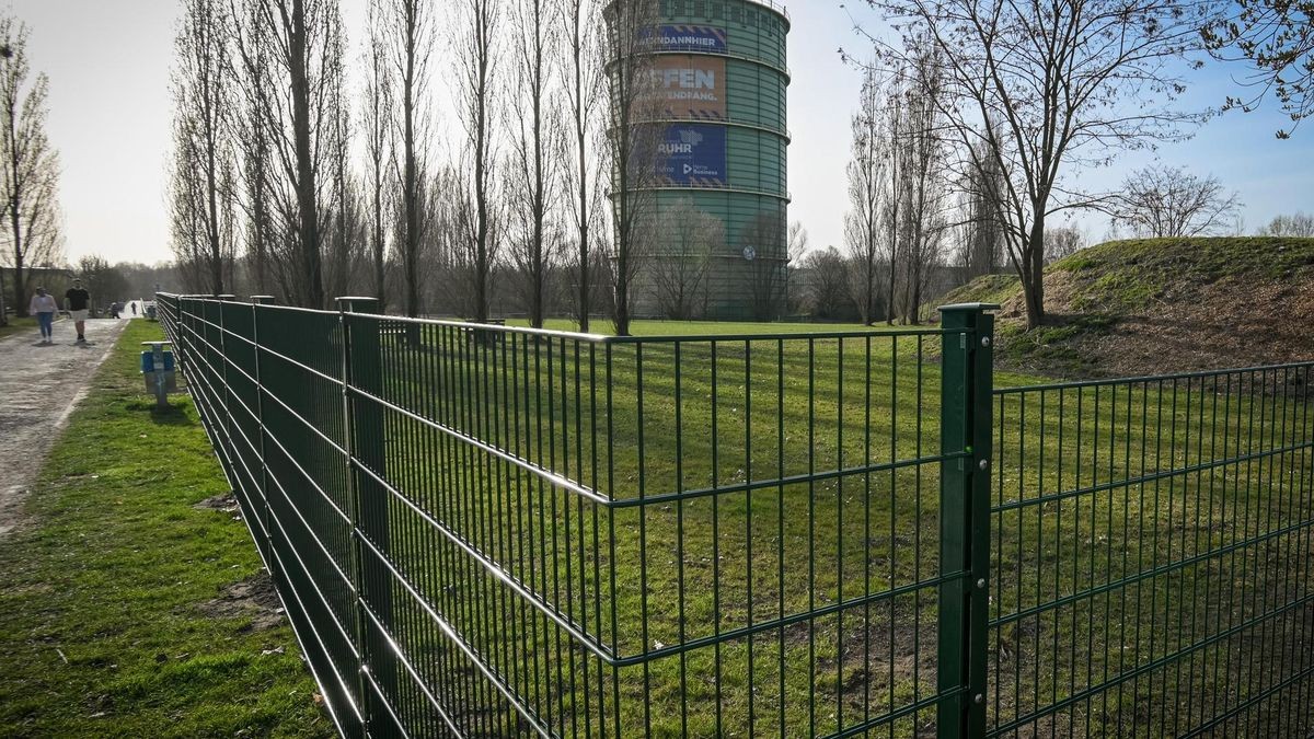 eingezäunte Hundewiese am Gasometer