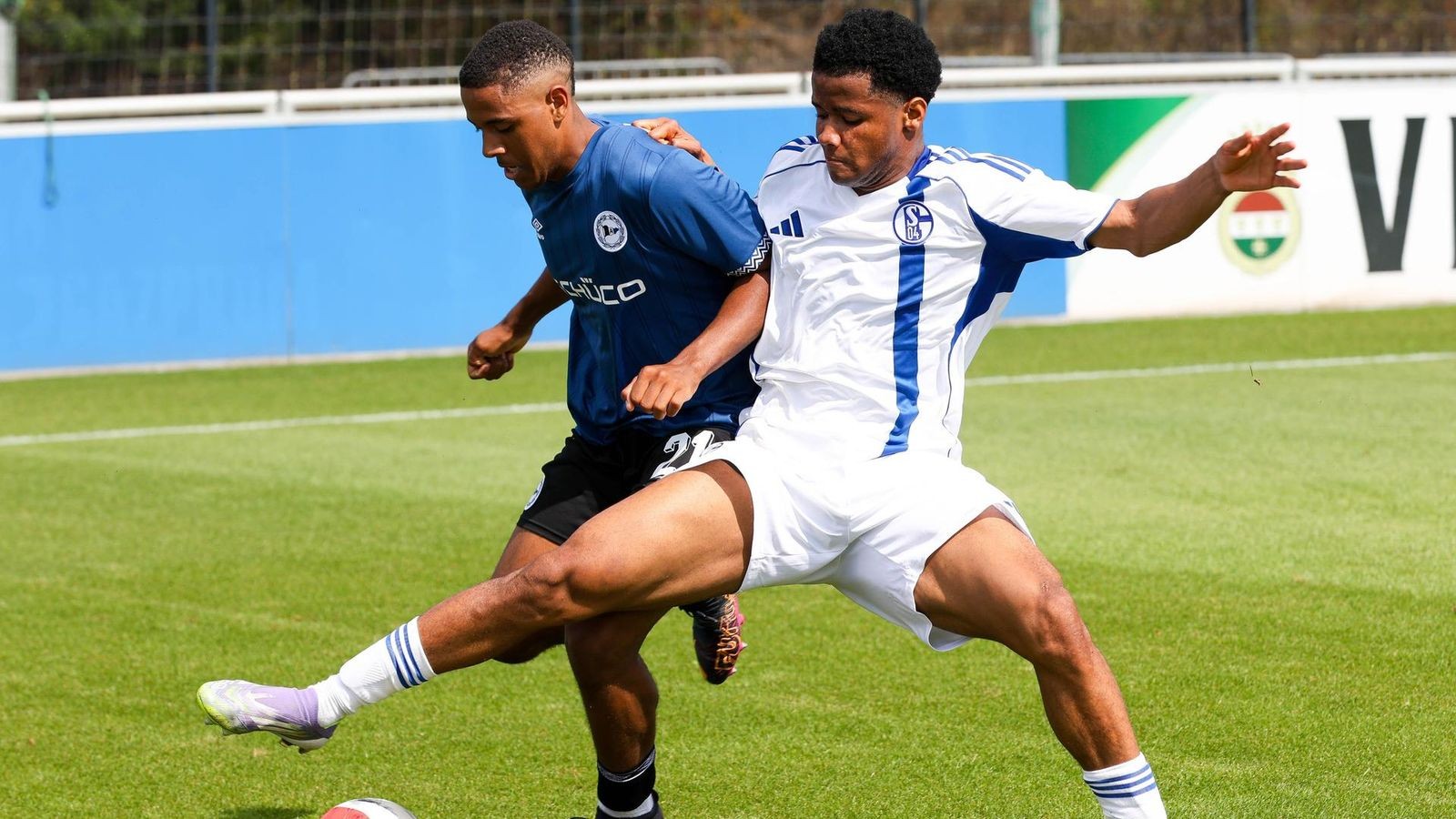 Tabellenführer Schalke U19 ist in Münster gefordert