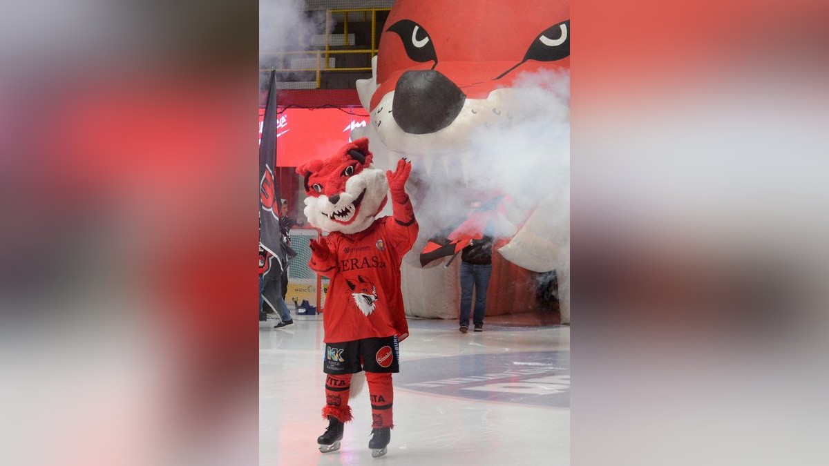 Sport / Duisburg / Wedau: Eishockey 