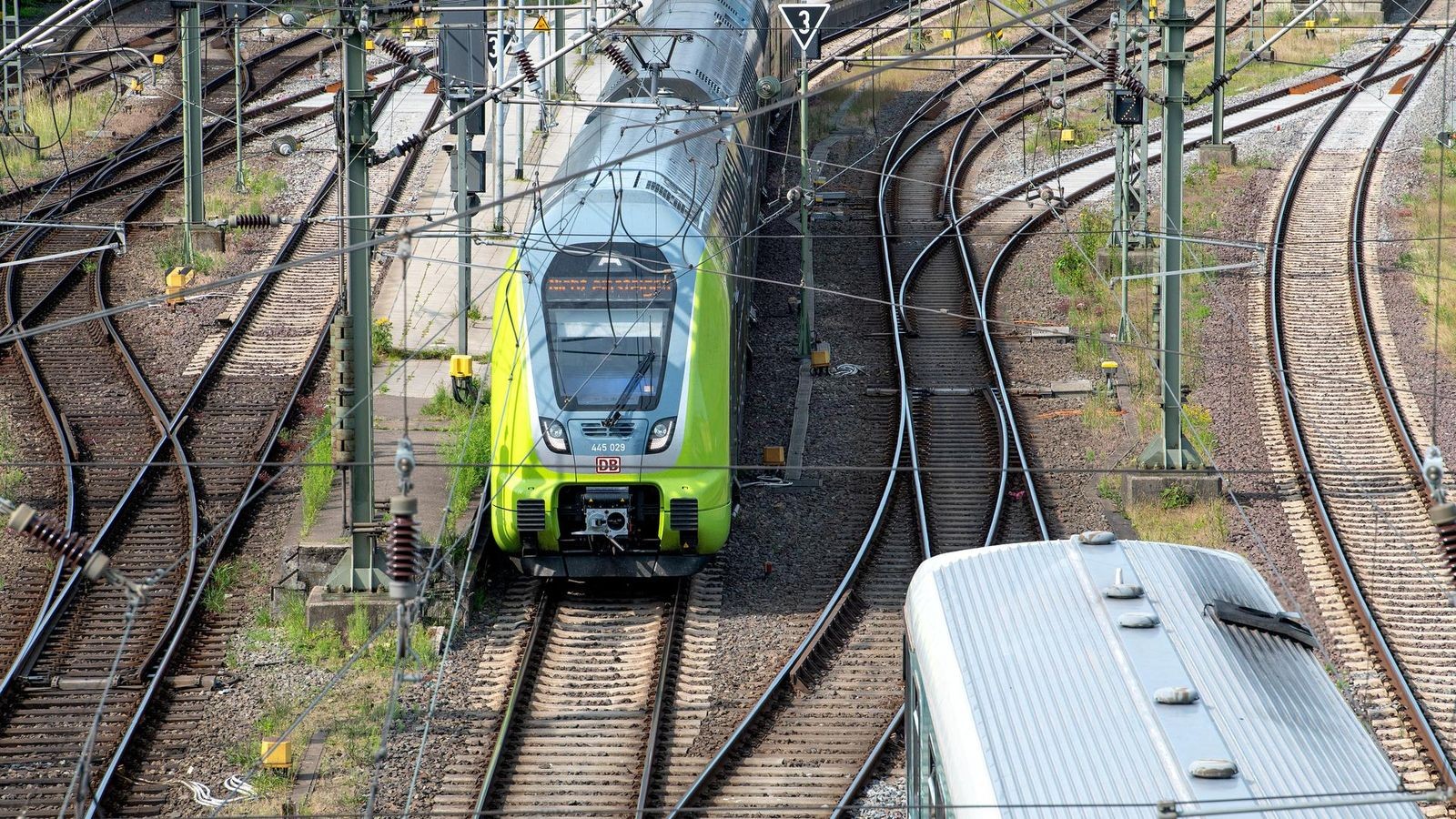 Umgestürzter Baum legt Zugverkehr im Norden lahm – viele Ausfälle