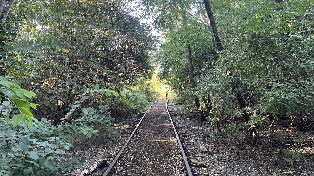 Lauf Spandau Tempelhof