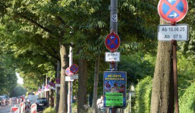 41 Halteverbotsschilder auf 1,4 Kilometern – Berlin im Schilder-Wahnsinn | Regional