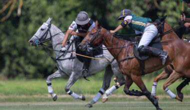 Journal Frankfurt News - Internationales Polo-Turnier in Frankfurt