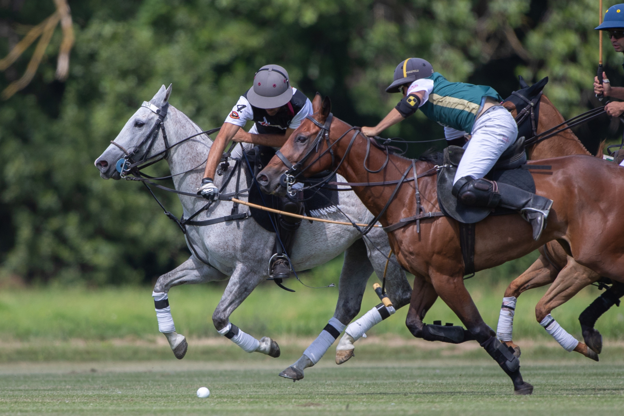 Journal Frankfurt News - Internationales Polo-Turnier in Frankfurt