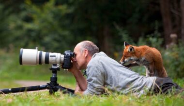 Klaus Echle: "In der Naturfotografie kommt man öfter ohne Foto heim als mit" - Freiburg