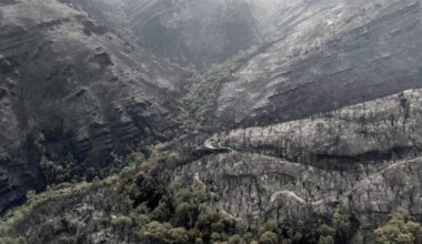 Rekord-Waldbrände in Europa: Fläche größer als Zypern vernichtet