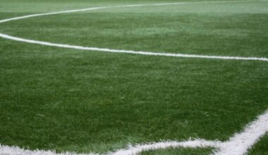 Fußball - Ecke eines Fußballfelds mit weißer Linienmarkierung auf grünem Rasen - © Foto: Pixabay