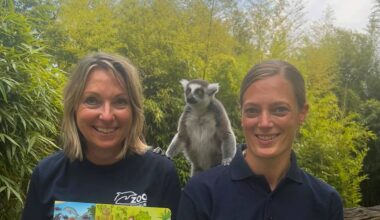 Zoo Duisburg hat sein Wimmelbuch überarbeitet