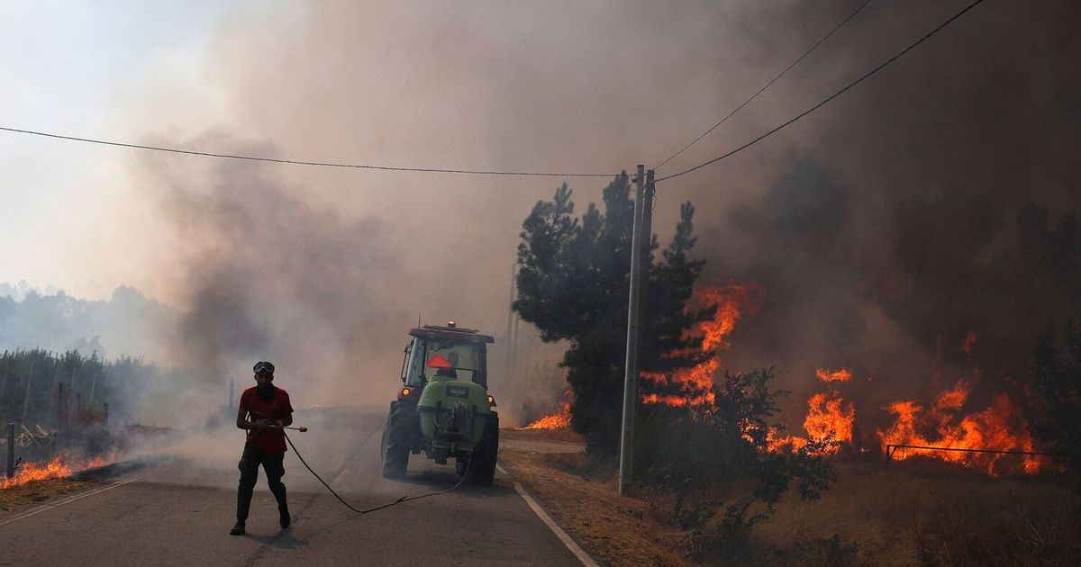 Waldbrände in Südeuropa: Auch Portugal bittet um EU-Hilfe