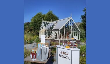 FRENZEL Grapefruit beim „Sommerfest mit Stauden“ 2025 in Wuppertal