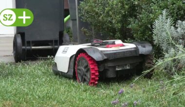 Warum Dresden trotz Igelgefahr kein Nachtverbot für Mähroboter erlässt