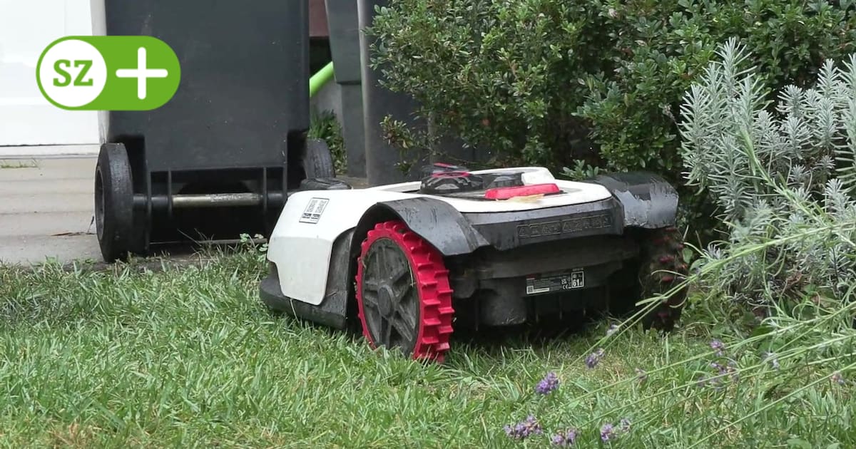 Warum Dresden trotz Igelgefahr kein Nachtverbot für Mähroboter erlässt