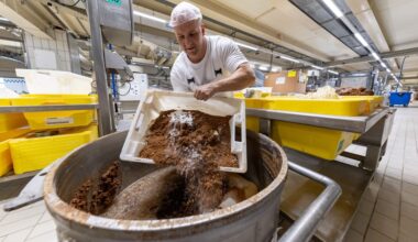 Auch in Aachen: Lebkuchenproduktion läuft auf Hochtouren. Was sind die Trends?