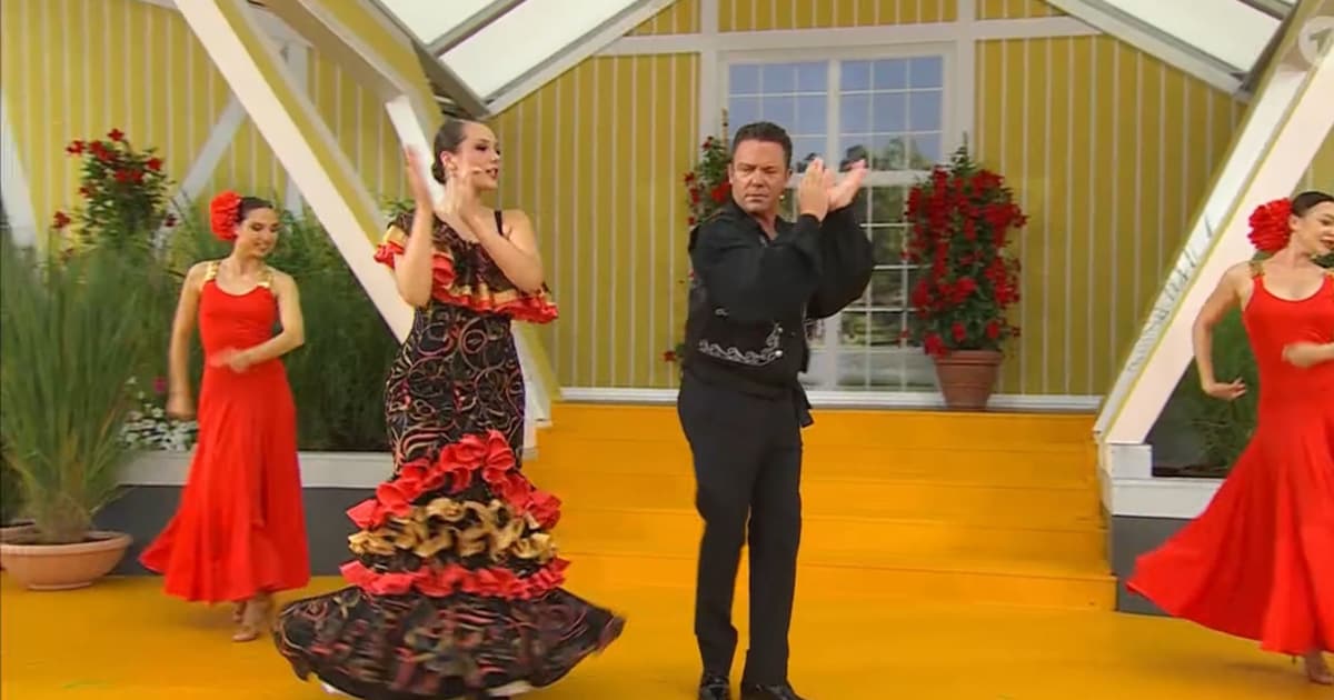 "Bewirbt sich für Let's Dance": Stefan Mross überrascht als Tänzer