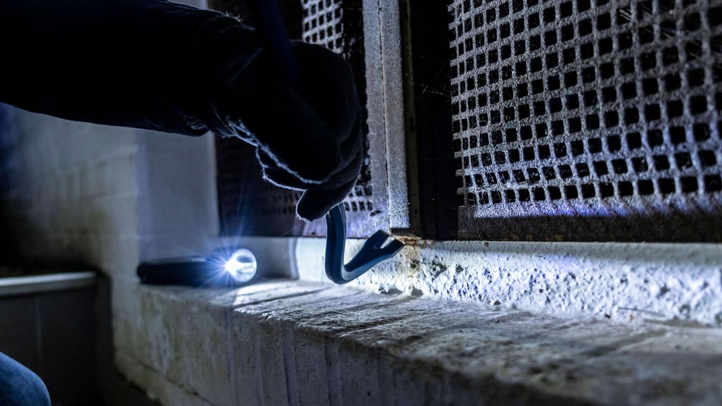 Eigentümer schlägt Alarm, dann greift die Polizei ein