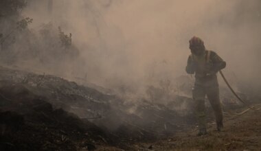 Portugal und Spanien bitten um EU-Hilfe bei Waldbränden - Politik