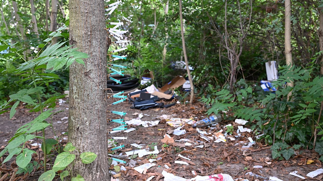 Der Drogen-Baum von Berlin: Junkies stecken ihre Spritzen in die Rinde | Regional