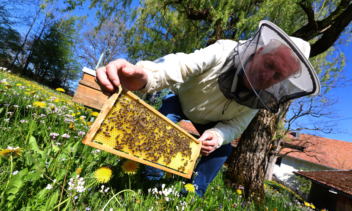 Landwirtschaftskammer feiert 100 Jahre Bieneninstitut