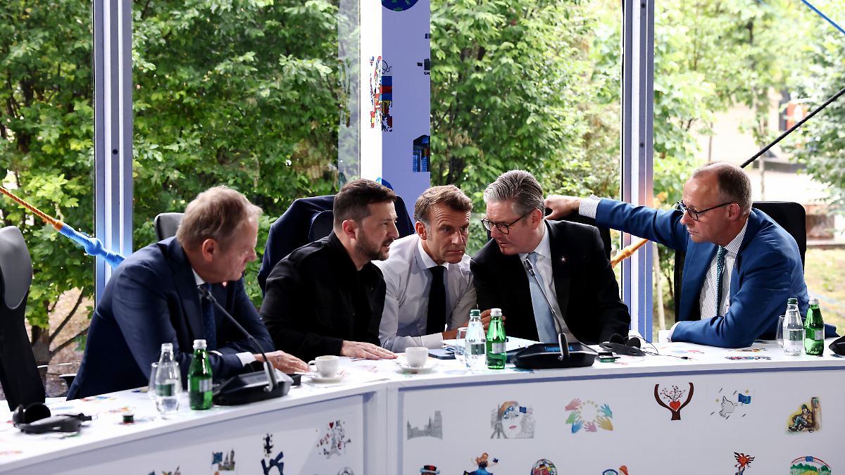 Komm Selenskyj doch nach Alaska?: EU-Politiker fordern Druck auf Russland