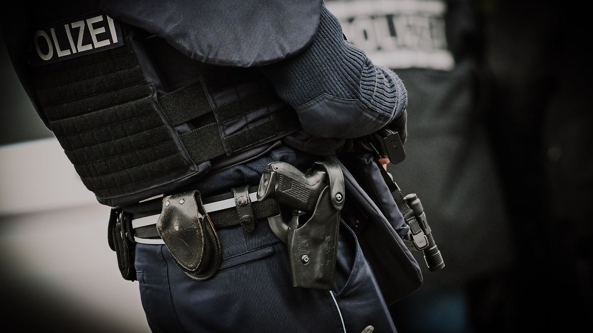 Razzia in Mecklenburg-Vorpommern: Waffen und Sprengstoff bei AfD-Politiker sichergestellt