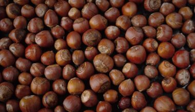 Kälteeinbruch belastet die Ernte: Jetzt werden auch Haselnüsse teurer