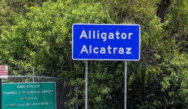 Verstoß gegen Umweltschutzgesetz: Gericht ordnet Rückbau von "Alligator Alcatraz" an