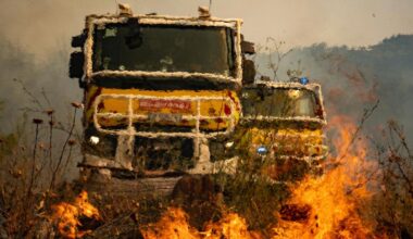 Waldbrände im Mittelmeerraum: Rekordfeuer wütet in Südfrankreich, Italien sperrt den Vesuv