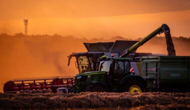 Zuwachs bei Getreideernte in Niedersachsen erwartet