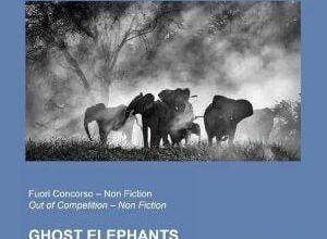 Kritik zu Ghost Elephants: Auf der Suche nach dem größten Elefanten der Welt