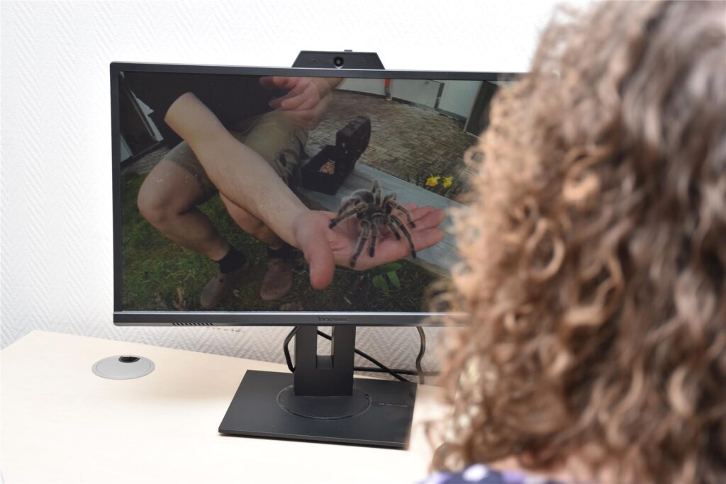 Auf dem Computerbildschirm läuft ein Video mit einer Vogelspinne, das Patientinnen und Patienten mit Hilfe der VR-Brille sehen und erleben können.