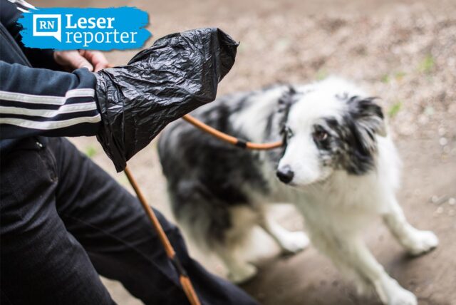 Ein Hundehalter steht neben seinem Hund und hält einen Kotbeutel in der Hand.
