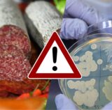 Collage aus ungarischer Salami und einer Petrischale mit E-coli-Bakterien. In der Mitte in Dreieck mit Ausrufezeichen.