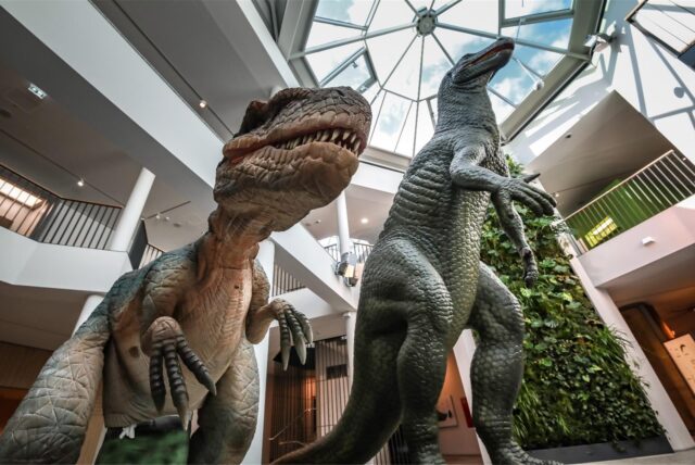 Zwei große Dinosaurier stehen in der Empfangshalle des Naturmuseums Dortmund.