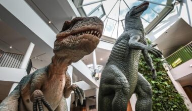 Ausstellungen & Führungen im August 2025